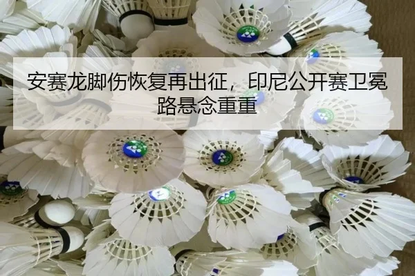 an-sai-long-jiao-shang-hui-fu-zai-chu-zheng-yin-ni-gong-kai-sai-wei-mian-lu-xuan-nian-chong-chong-2-664.jpg