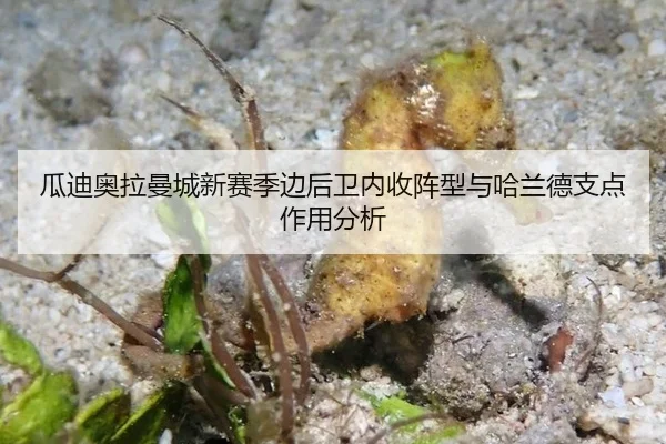瓜迪奥拉曼城新赛季边后卫内收阵型与哈兰德支点作用分析