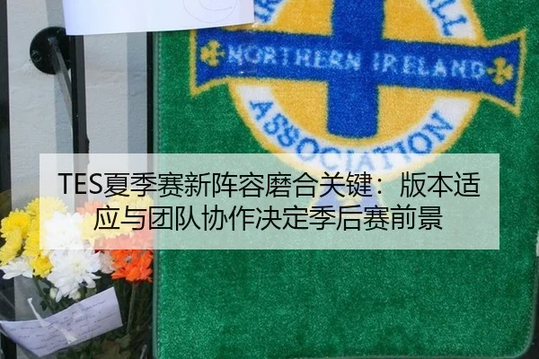 TES夏季赛新阵容磨合关键：版本适应与团队协作决定季后赛前景