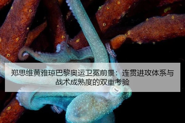 郑思维黄雅琼巴黎奥运卫冕前景：连贯进攻体系与战术成熟度的双重考验